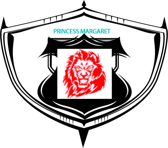 lion pm logo